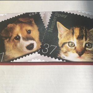 国产在线视频资源
